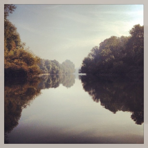 Morning by the river at Twickenham [copyright: Michele Whitby]